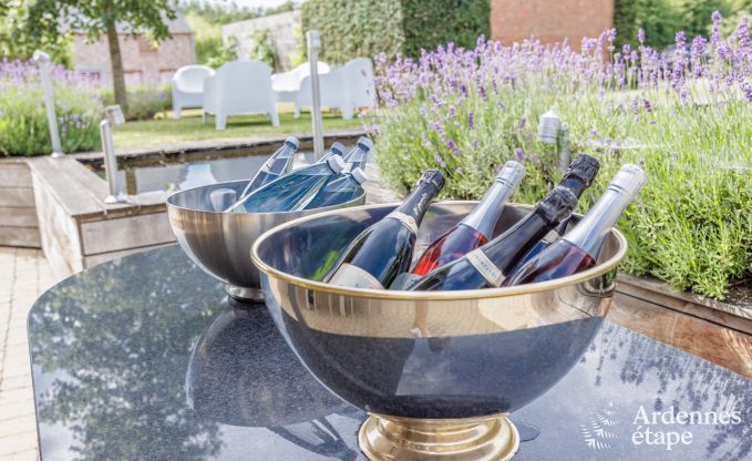 Villa de Luxe � Rochefort pour 20 personnes en Ardenne