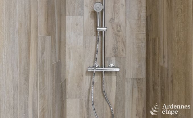 Villa de Luxe � Rochefort pour 16 personnes en Ardenne