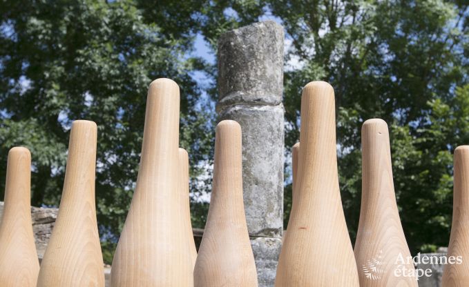 Villa de Luxe � Rochefort pour 16 personnes en Ardenne