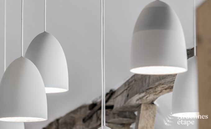 Villa de Luxe � Rochefort pour 16 personnes en Ardenne