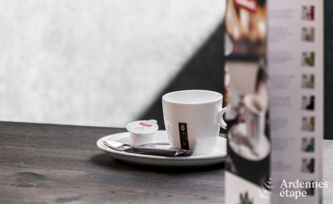 Villa de Luxe � Rochefort pour 16 personnes en Ardenne