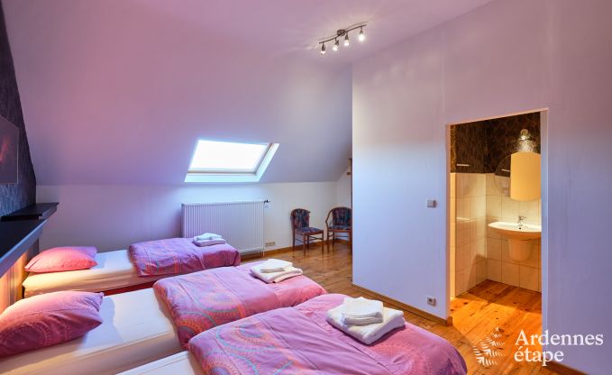 Chteau  Rochefort pour 48 personnes en Ardenne