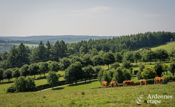 Maison de vacances conviviale de plain-pied pour 2 personnes  Rochehaut avec vue