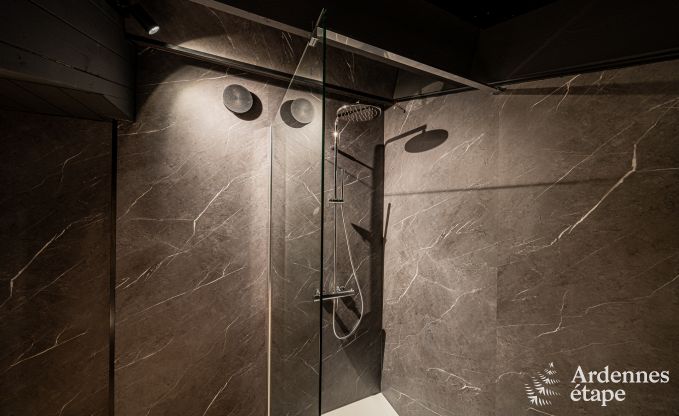 Villa moderne � Rochehaut : h�bergement spacieux pour 12 personnes avec jardin priv� et bain � remous