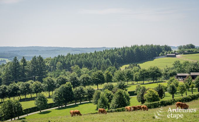 Villa moderne � Rochehaut : h�bergement spacieux pour 12 personnes avec jardin priv� et bain � remous