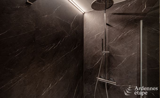 Luxe � Rochehaut : h�bergement spacieux pour 14 personnes avec piscine int�rieure et splendide vue