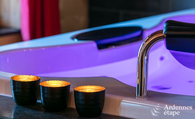 Chalet  Saint-Hubert pour 2 personnes en Ardenne