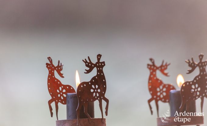 Chalet  Saint-Hubert pour 2 personnes en Ardenne