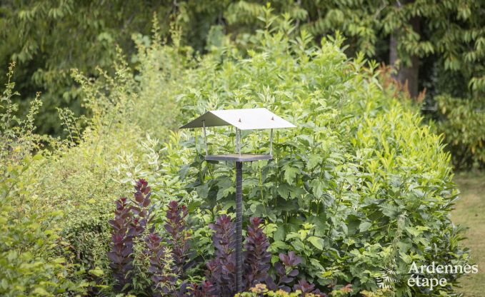 Gite de charme � Saint-Hubert pour 18 personnes en Ardenne