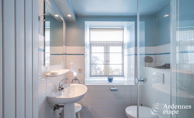 Gite de charme � Saint-Hubert pour 18 personnes en Ardenne