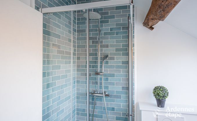 Gite de charme � Saint-Hubert pour 18 personnes en Ardenne