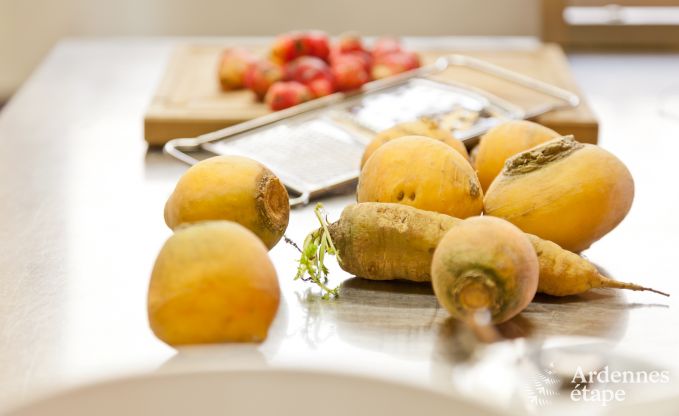 Maison de vacances � Saint-Hubert pour 24/30 personnes en Ardenne