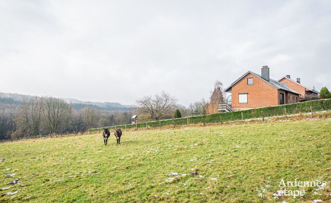 Maison de vacances spacieuse et tout confort  Saint-Hubert en Ardenne pour 12 personnes avec jardin priv et proche des activits touristiques