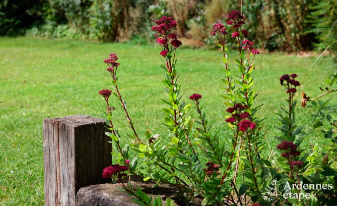 Maison de vacances  Saint-Hubert pour 24/30 personnes en Ardenne