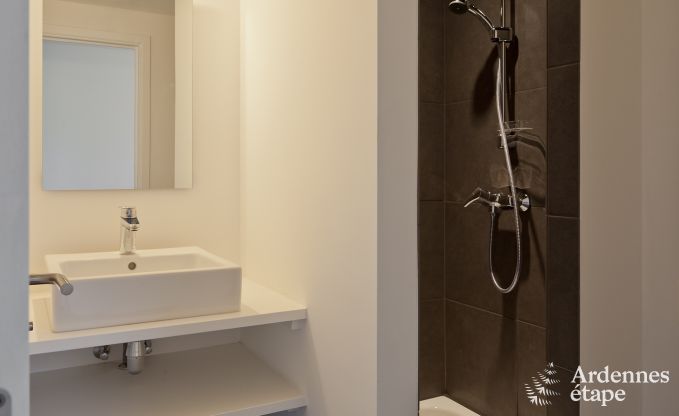 Villa de Luxe � Saint-Hubert pour 29 personnes en Ardenne