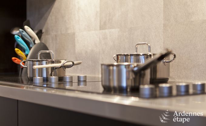 Villa de Luxe � Saint-Hubert pour 29 personnes en Ardenne