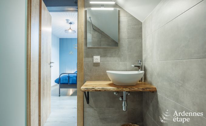 Villa de Luxe � Saint-Hubert pour 12 personnes en Ardenne