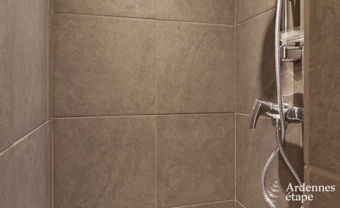 Villa de Luxe � Saint-Hubert pour 29 personnes en Ardenne