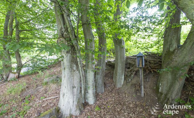 Villa de Luxe � Saint- Hubert pour 18/20 personnes en Ardenne