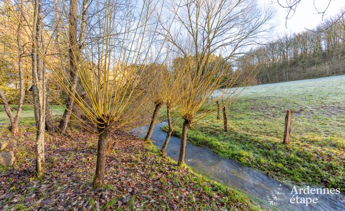 Chalet  Saint-Hubert pour 2 personnes en Ardenne