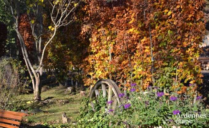 Maison de vacances  Saint-Hubert pour 4 personnes en Ardenne