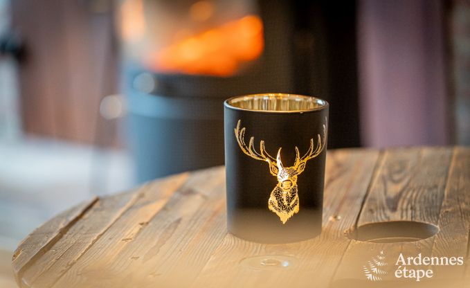 Chalet avec une superbe terrasse et une belle grande salle de jeux � Saint-Hubert pour 9 personnes