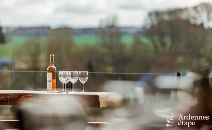 Villa de Luxe � Saint-Hubert pour 12 personnes en Ardenne