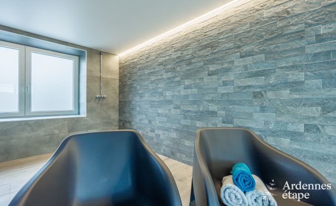 Villa de Luxe � Saint-Hubert pour 12 personnes en Ardenne