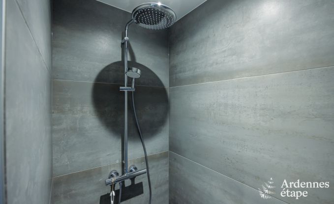 Villa de Luxe � Saint-Hubert pour 12 personnes en Ardenne