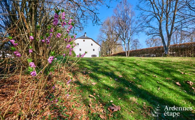 Charmante maison de vacances � Saint-Vith pour 6 personnes avec sauna, jardin priv� et chemin�e