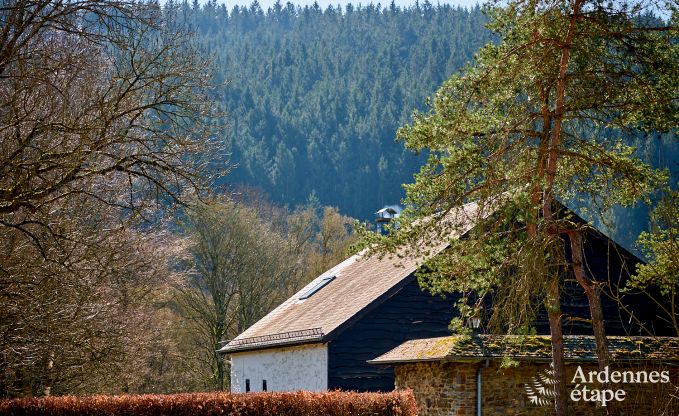 Charmante maison de vacances � Saint-Vith pour 6 personnes avec sauna, jardin priv� et chemin�e