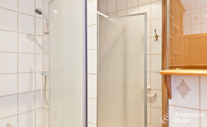 Ch�teau historique � Sainte-Ode pour 46 personnes, avec piscine