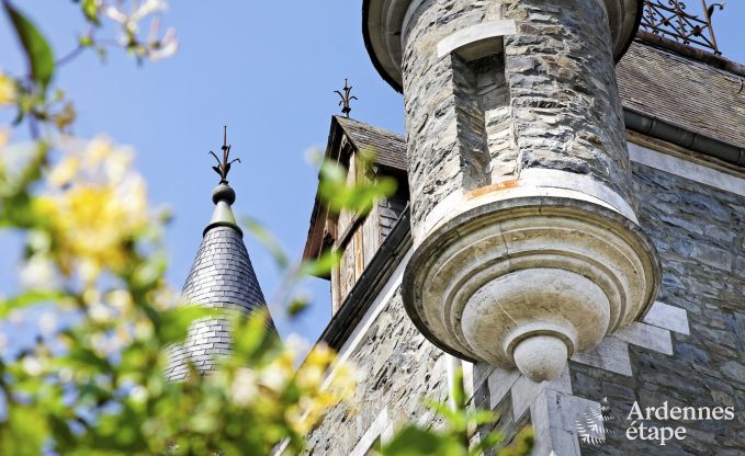 Ch�teau historique � Sainte-Ode pour 46 personnes, avec piscine