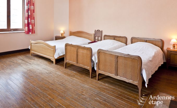 Ch�teau historique � Sainte-Ode pour 46 personnes, avec piscine