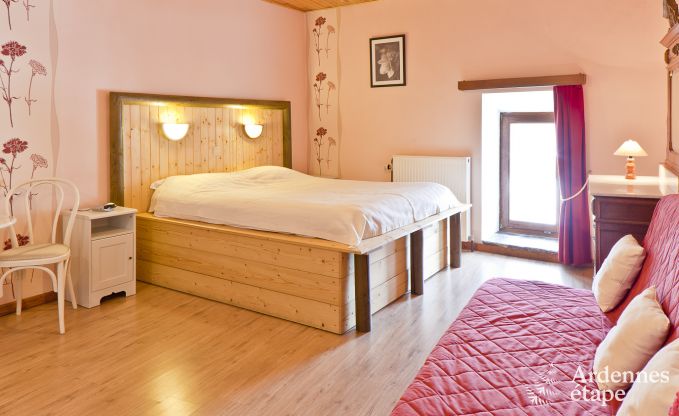 Ch�teau historique � Sainte-Ode pour 46 personnes, avec piscine