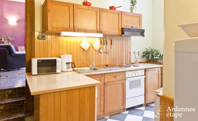 Ch�teau historique � Sainte-Ode pour 46 personnes, avec piscine