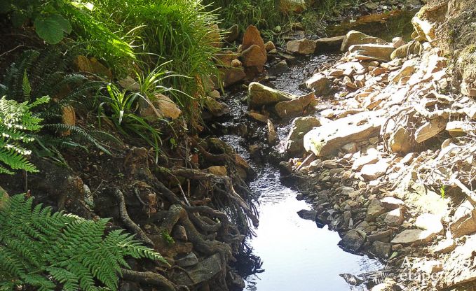 Maison de vacances � Sainte-Ode pour 4/6 personnes en Ardenne