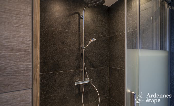 Villa � Sainte-Ode pour 14 personnes avec piscine, jacuzzi, sauna, bar et cin�ma