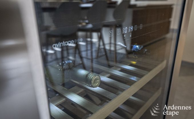 Villa � Sainte-Ode pour 14 personnes avec piscine, jacuzzi, sauna, bar et cin�ma