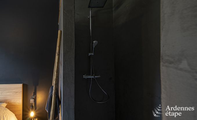 Villa � Sainte-Ode pour 14 personnes avec piscine, jacuzzi, sauna, bar et cin�ma