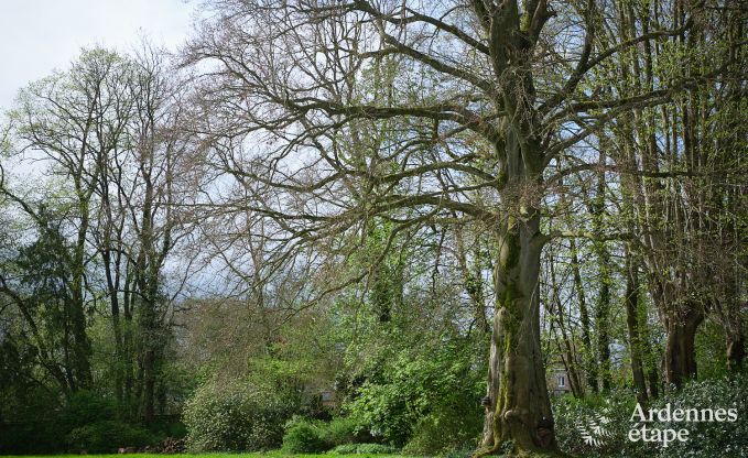 S�jour de charme dans la d�pendance d'un ch�teau � Sars-la-Bruy�re, Ardenne