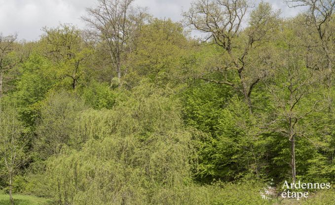 Maison de vacances � Sivry-Rance pour 14 personnes en Ardenne