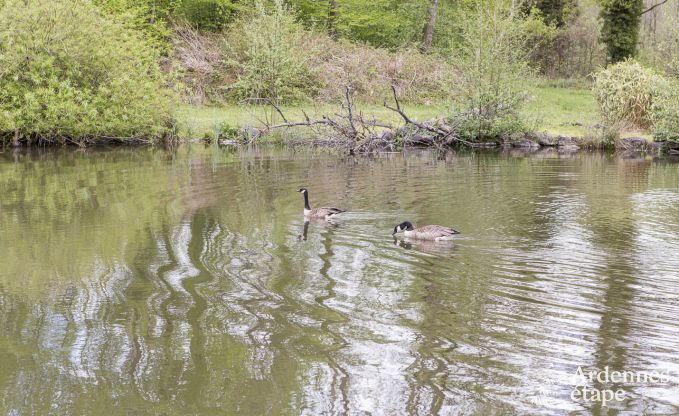Maison de vacances � Sivry-Rance pour 14 personnes en Ardenne