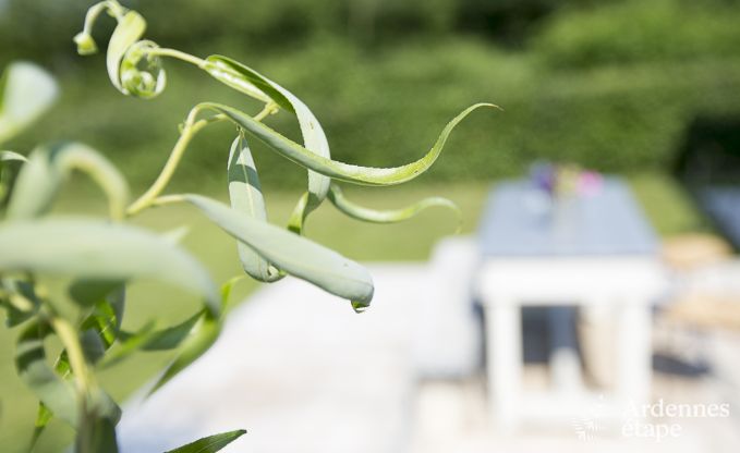 Maison de vacances  Sivry-Rance pour 4 personnes en Ardenne