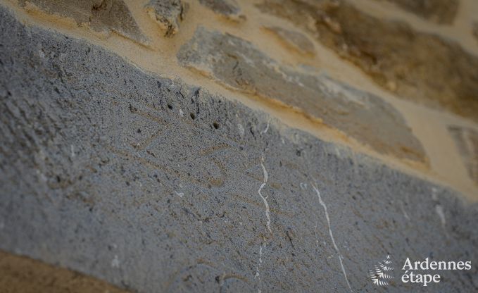 Maison enfant admise pour 7  Sivry-Rance, Ardenne