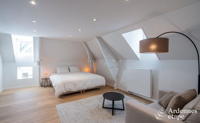 Ch�teau unique � Soiron : s�jour de luxe pour 14 personnes avec jardin priv�, salle de jeux et 5 chambres et � proximit� de Verviers