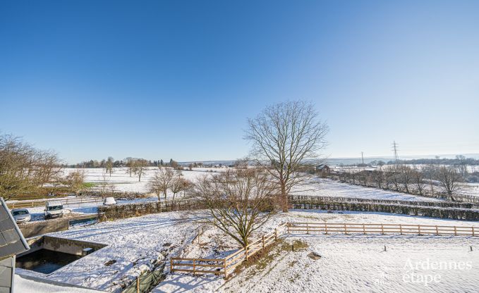 Ch�teau unique � Soiron : s�jour de luxe pour 14 personnes avec jardin priv�, salle de jeux et 5 chambres et � proximit� de Verviers