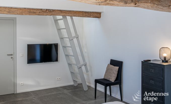 Ch�teau unique � Soiron : s�jour de luxe pour 14 personnes avec jardin priv�, salle de jeux et 5 chambres et � proximit� de Verviers