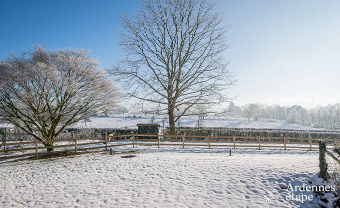 Ch�teau unique � Soiron : s�jour de luxe pour 14 personnes avec jardin priv�, salle de jeux et 5 chambres et � proximit� de Verviers