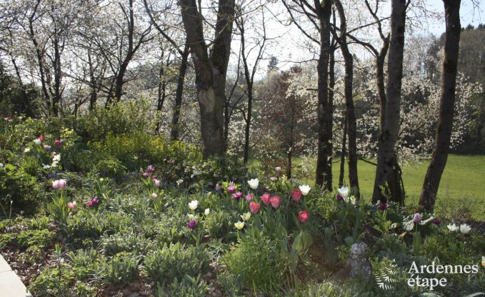 Maison contemporaine � Somme - Leuze pour 8 personnes en Ardenne